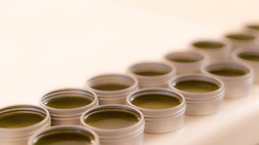 12 x 0.5oz - CBD Topical Salve Sample with 60 mg CBD per tin, natural herbal cream in small round containers.