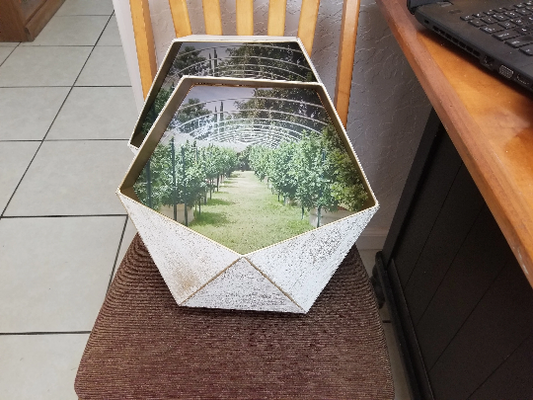 Weed-Nun Sister Guarding Her Garden