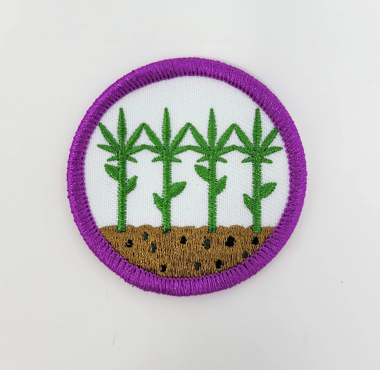 Medicine-Maker's Patch: Cannabis / Hemp Growing