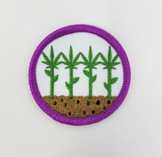 Medicine-Maker's Patch:  Cannabis / Hemp Growing