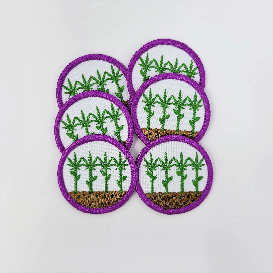Medicine-Maker's Patch: Cannabis / Hemp Growing
