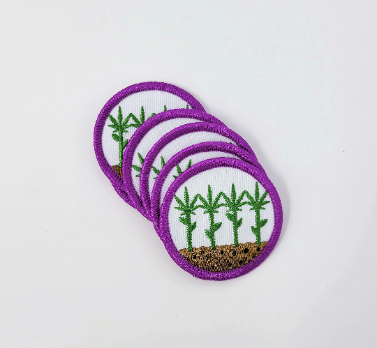 Medicine-Maker's Patch: Cannabis / Hemp Growing