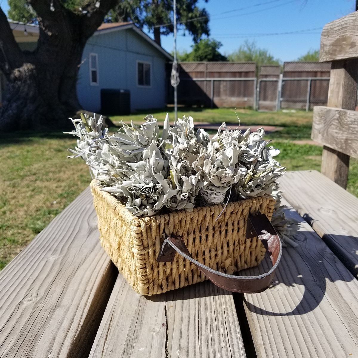 12 x White Sage Bundle