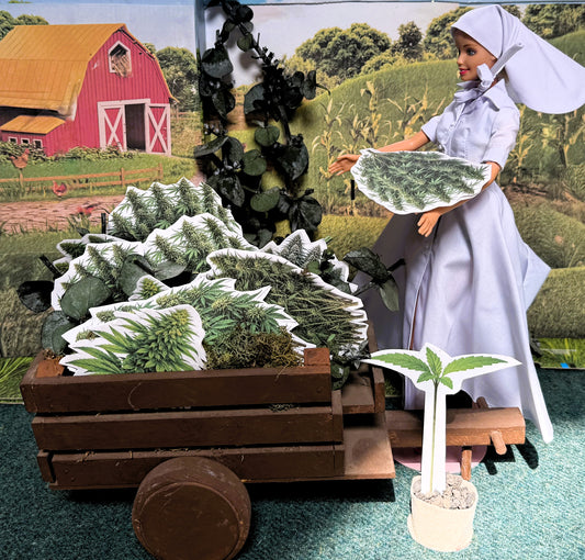 Harvest Queen Barbie