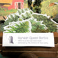 Harvest Queen Barbie