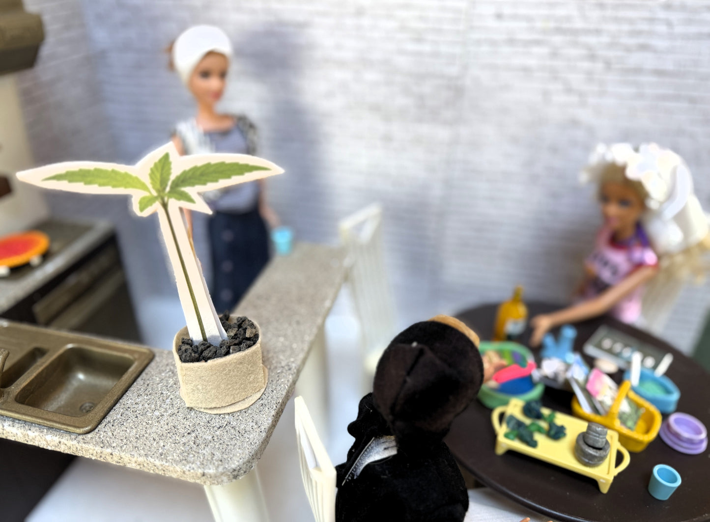 Sesh Circle Barbies