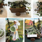 Harvest Queen Barbie
