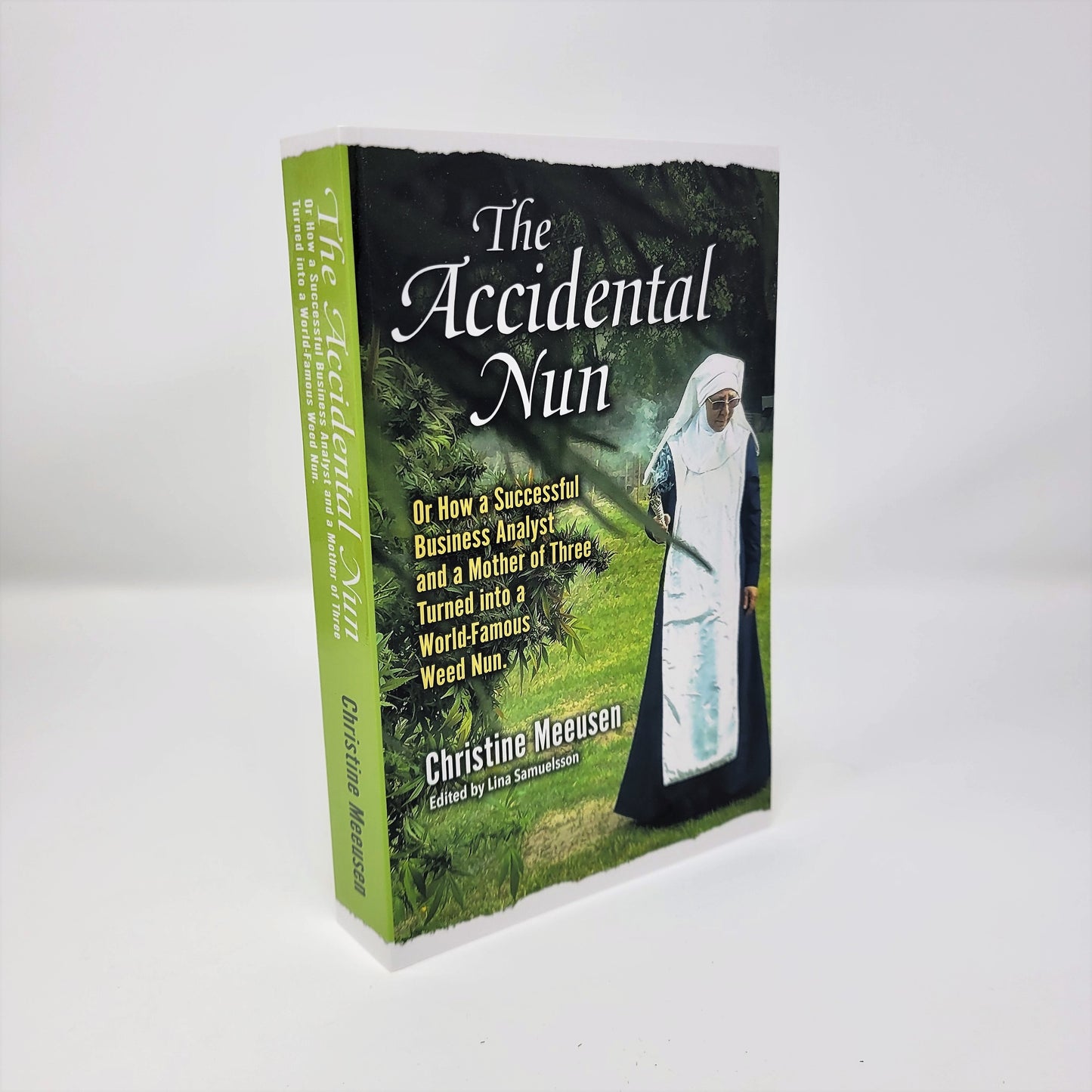 The Accidental Nun