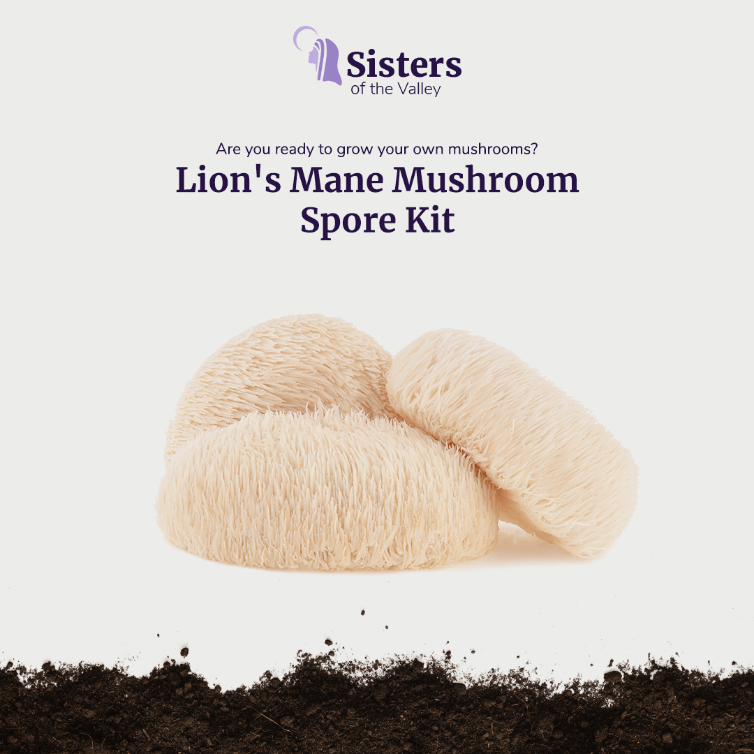 Lion’s Mane Mushroom Spore Kit (3 lbs.)