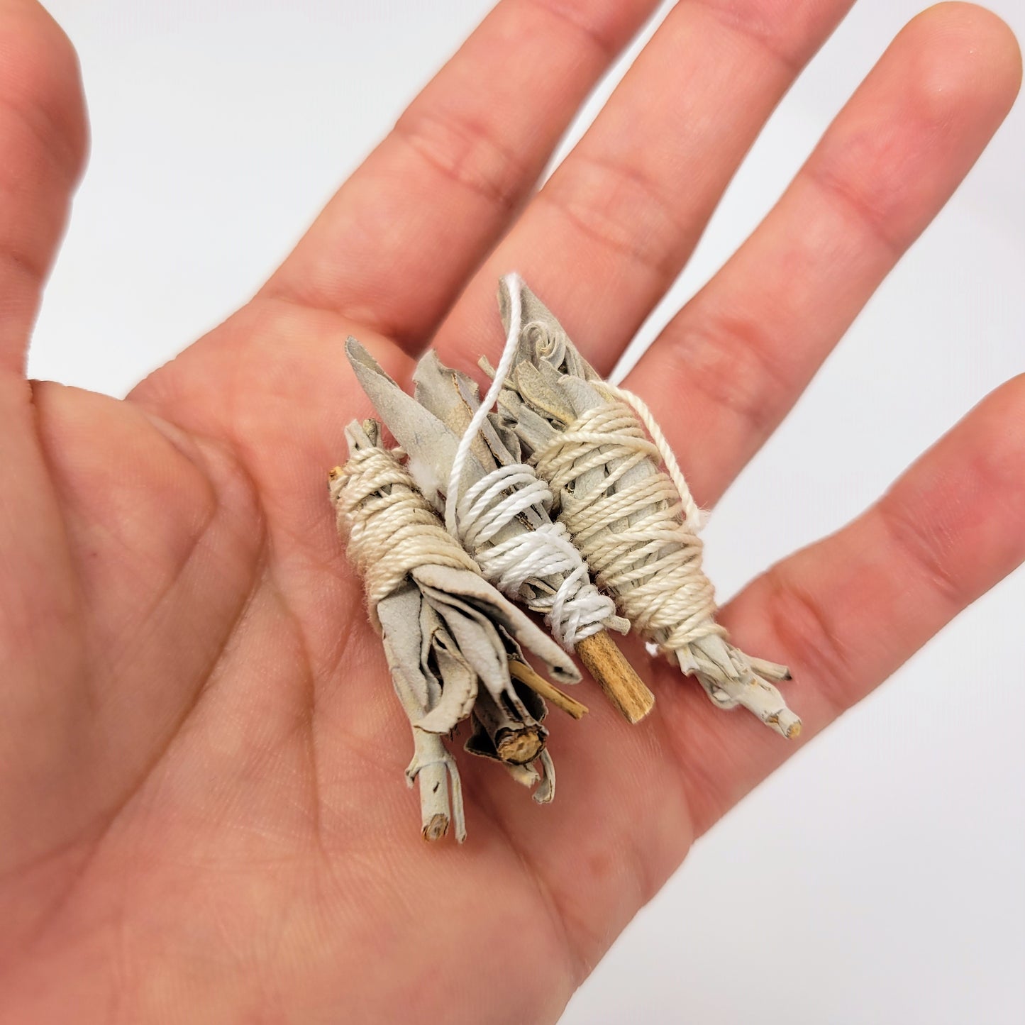 Miniature Sage Bundles